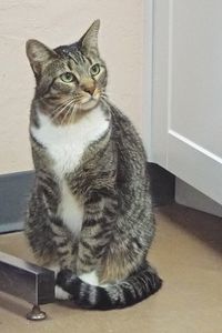 Picture of Praline
