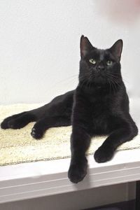 Picture of Sundae
