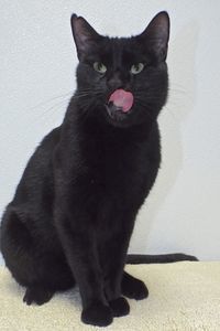 Picture of Sundae