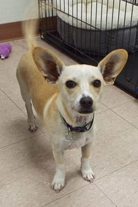 Picture of Suzie