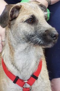 Picture of Wilson