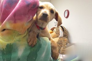 Picture of Bob