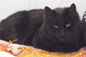 Picture of Charles