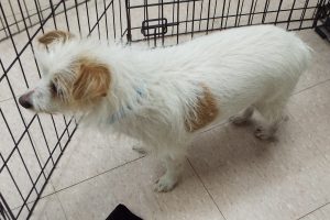 Picture of Doug