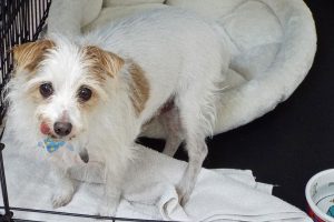 Picture of Doug