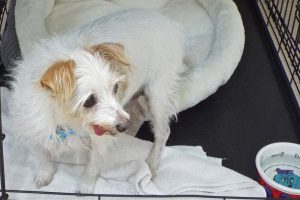 Picture of Doug