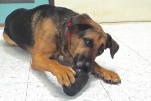 Picture of Eva (CGC)