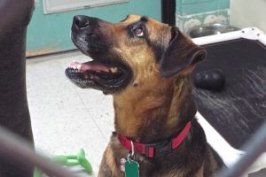 Picture of Eva (CGC)