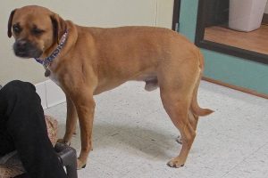 Picture of Lucky