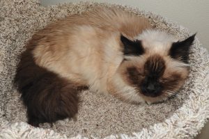 Picture of Maggie Mae