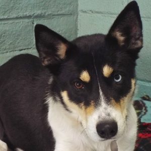 Picture of Chloe
