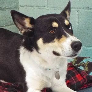 Picture of Chloe