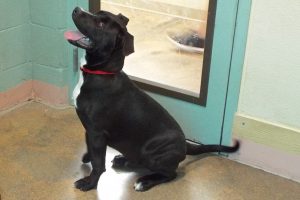 Picture of Flicker