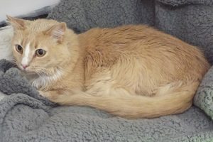 Picture of Murray