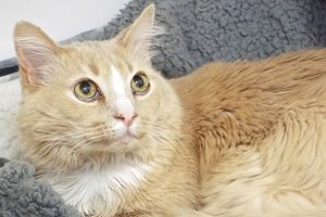 Picture of Murray