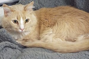 Picture of Murray