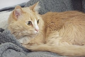 Picture of Murray