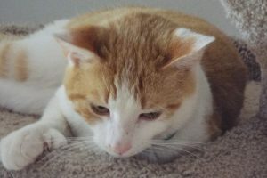 Picture of Ricky