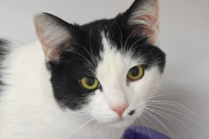 Picture of Stretch