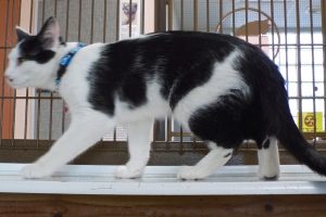 Picture of Stretch