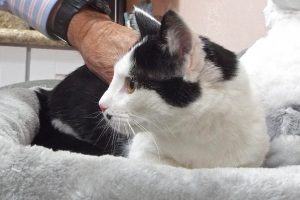 Picture of Stretch