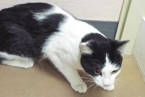 Picture of Stretch