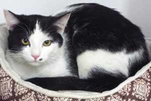 Picture of Stretch