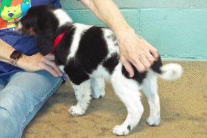 Picture of Maggie