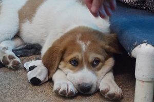 Picture of Barry