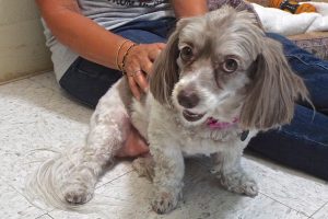 Picture of Sophie