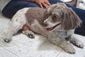 Picture of Sophie