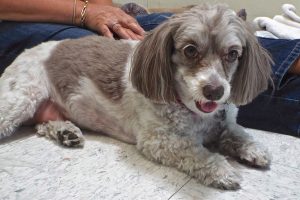 Picture of Sophie