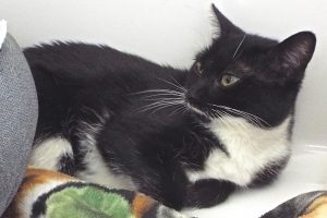 Picture of Sugar