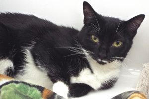 Picture of Sugar