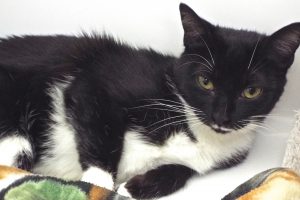 Picture of Sugar