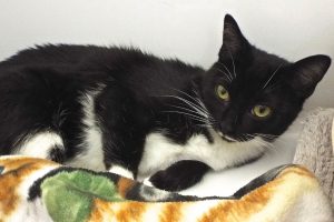 Picture of Sugar