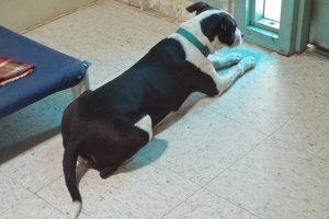 Picture of Wilma