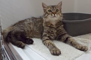 Picture of Zoe