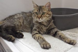 Picture of Zoe