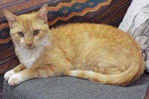 Picture of Betsy