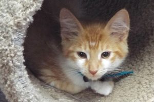 Picture of Jack
