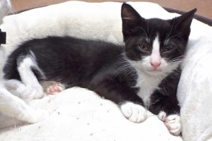 Picture of Minnie