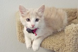 Picture of Ms. Darcy