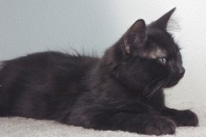 Picture of Ben