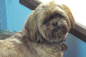Picture of Chloe