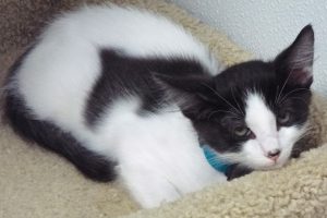Picture of Ernie