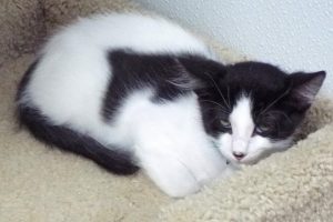 Picture of Ernie