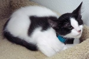 Picture of Ernie