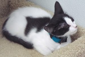 Picture of Ernie