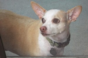 Picture of Jack